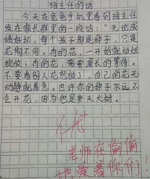 网友共享饮料娱乐吃瓜酱,饮料娱乐吃瓜酱，揭秘网红美食背后的故事  第3张