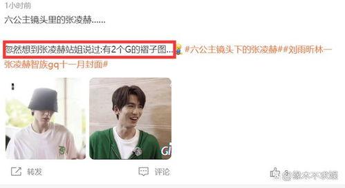 白鹿和张凌赫圈内爆料,揭秘娱乐圈背后的真实故事  第2张